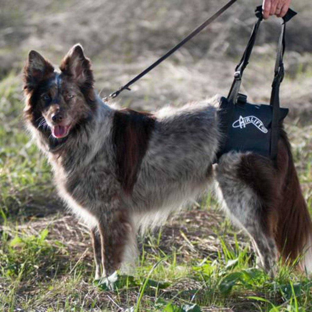 Support Harness J74671