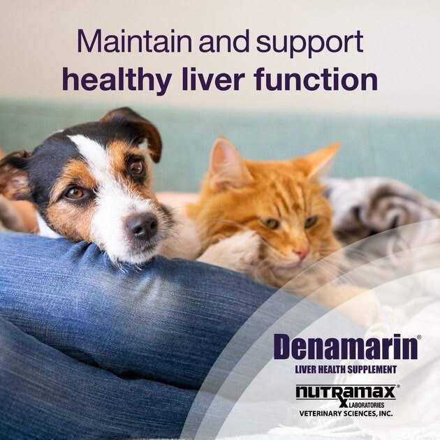 Liver Health Tablets Dogs A212