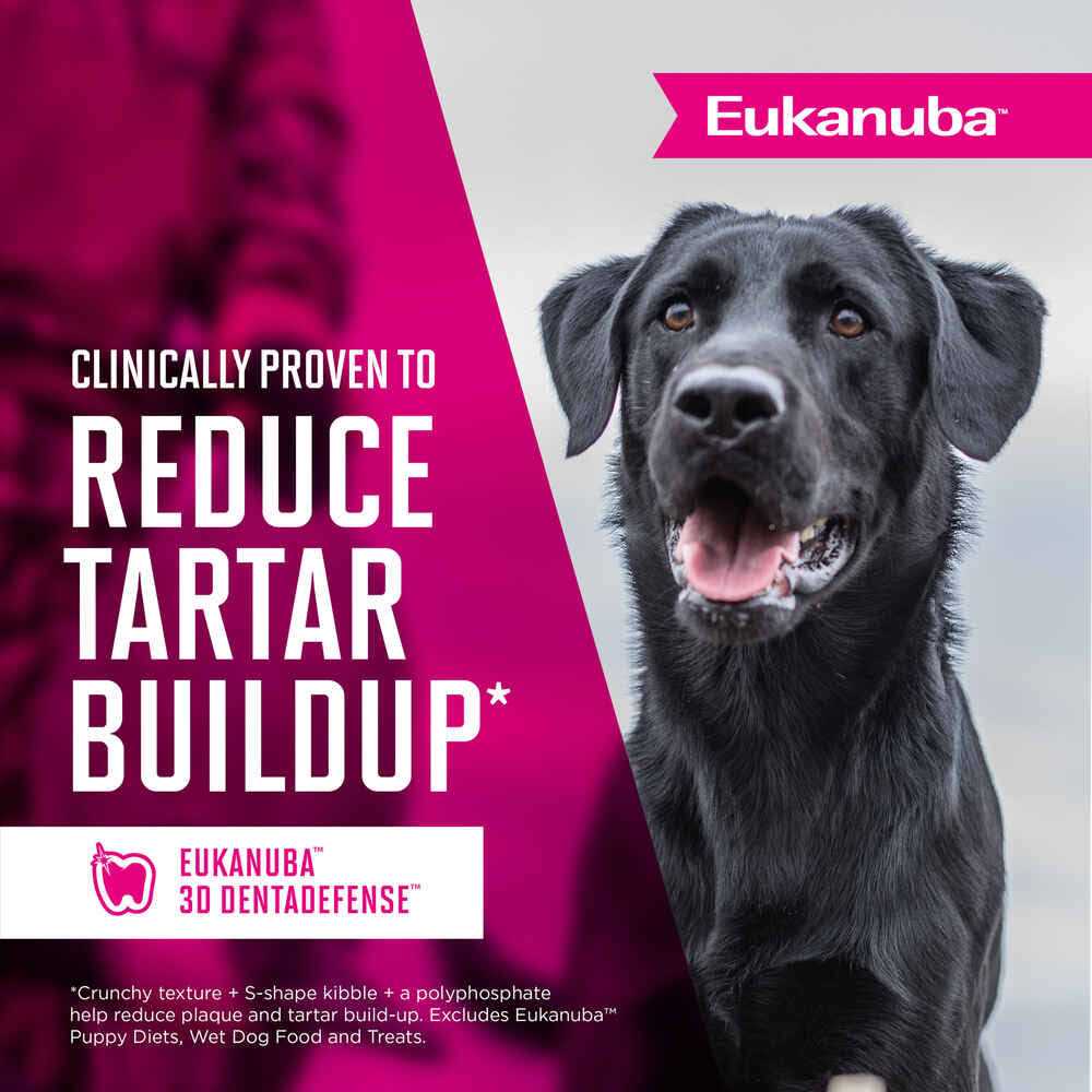 Adult Dry Dog Food L215