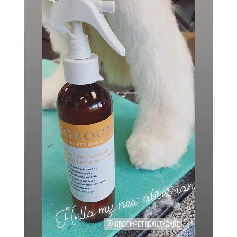 Detangler Conditioning Spray L71323