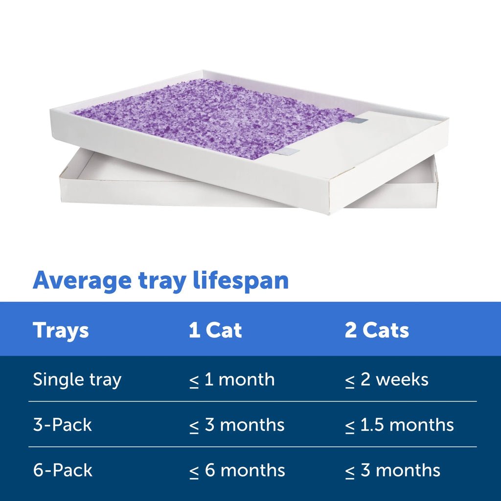 Lavender Scent Silica Crystals Cat Litter Trays 6-Pack J92917