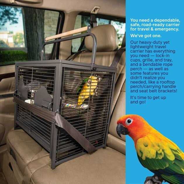 Pet Travel Carrier E3811