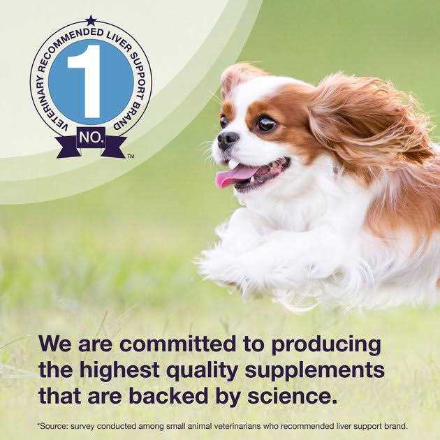 Liver Health Tablets Dogs A212