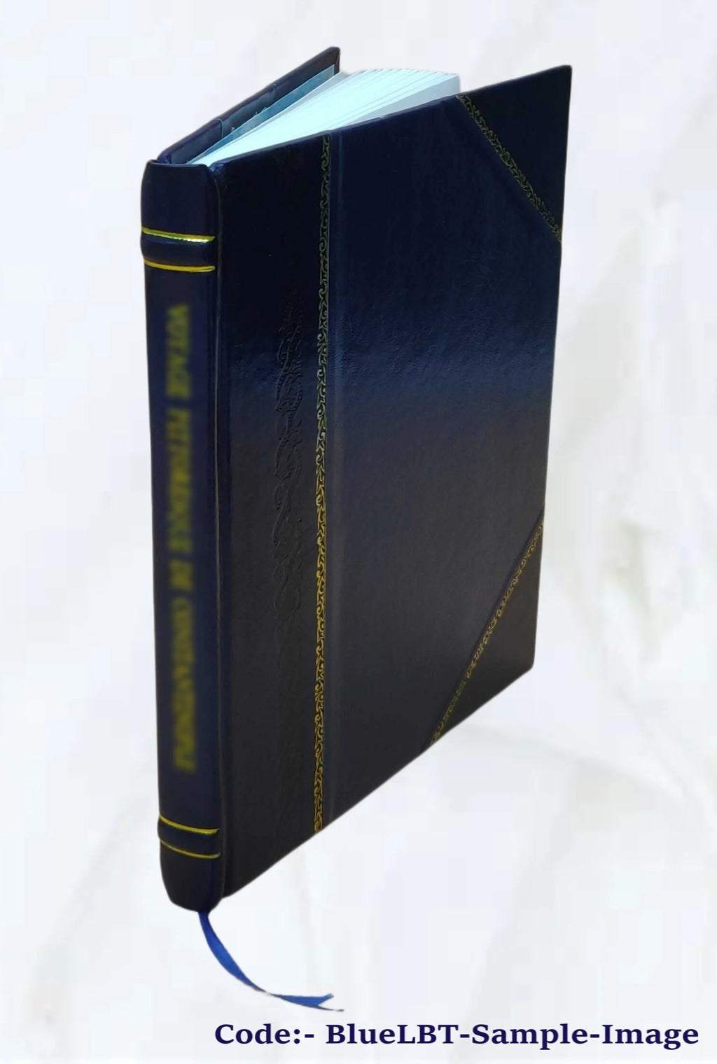Leather Bound Book X41239