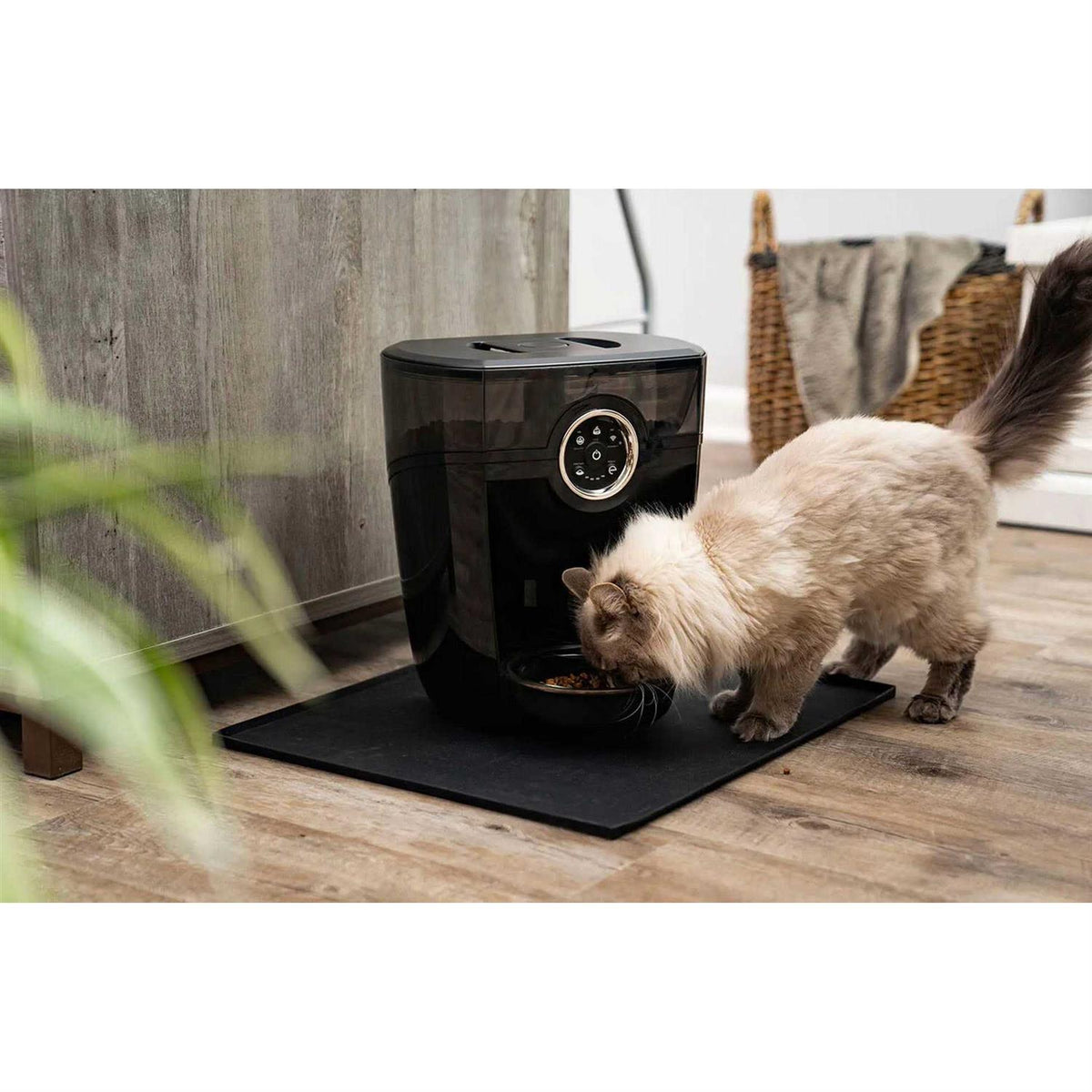 Wi-fi Cat & Dog Auto-Feeder with Hopper & Backup Battery D4632