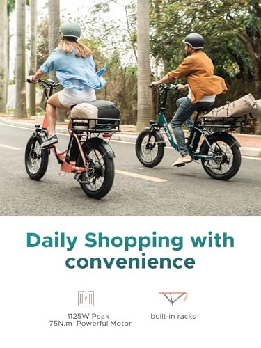1125W Electric Bike 20'' Fat Tire 13Ah Removable Battery Dual Suspension F82557