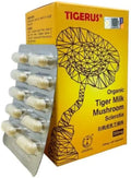 Milk Mushroom K536892