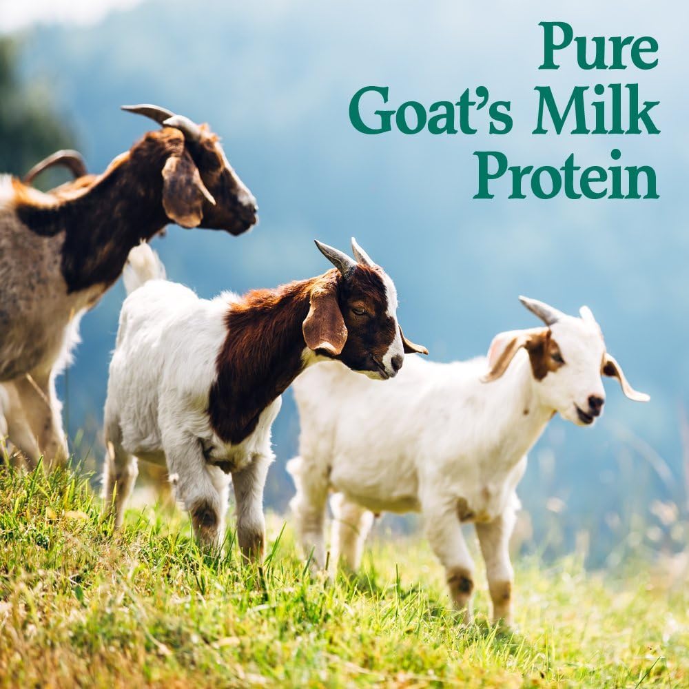 Goat Protein Powder, 22 Servings, 15.5 Ounce Pack of 2 J470