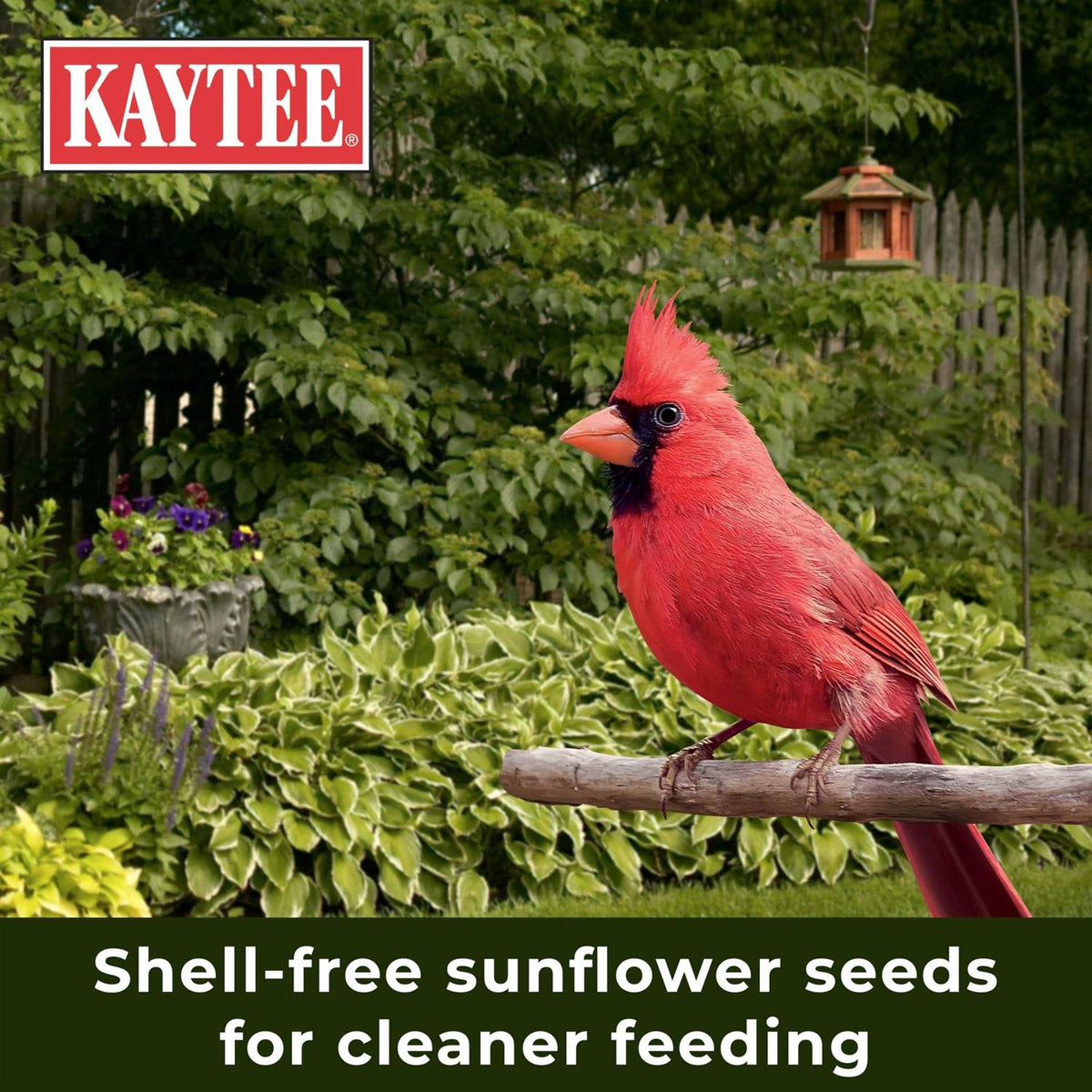 Nut & Fruit Blend Wild Bird Food J275156