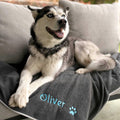 Personalized Dog Blanket R760303