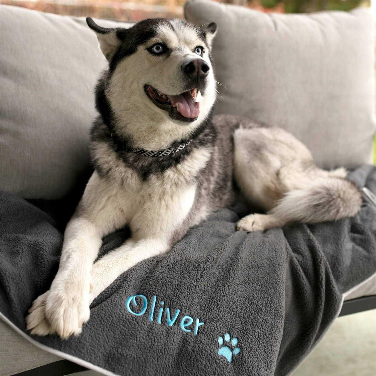 Personalized Dog Blanket R760303