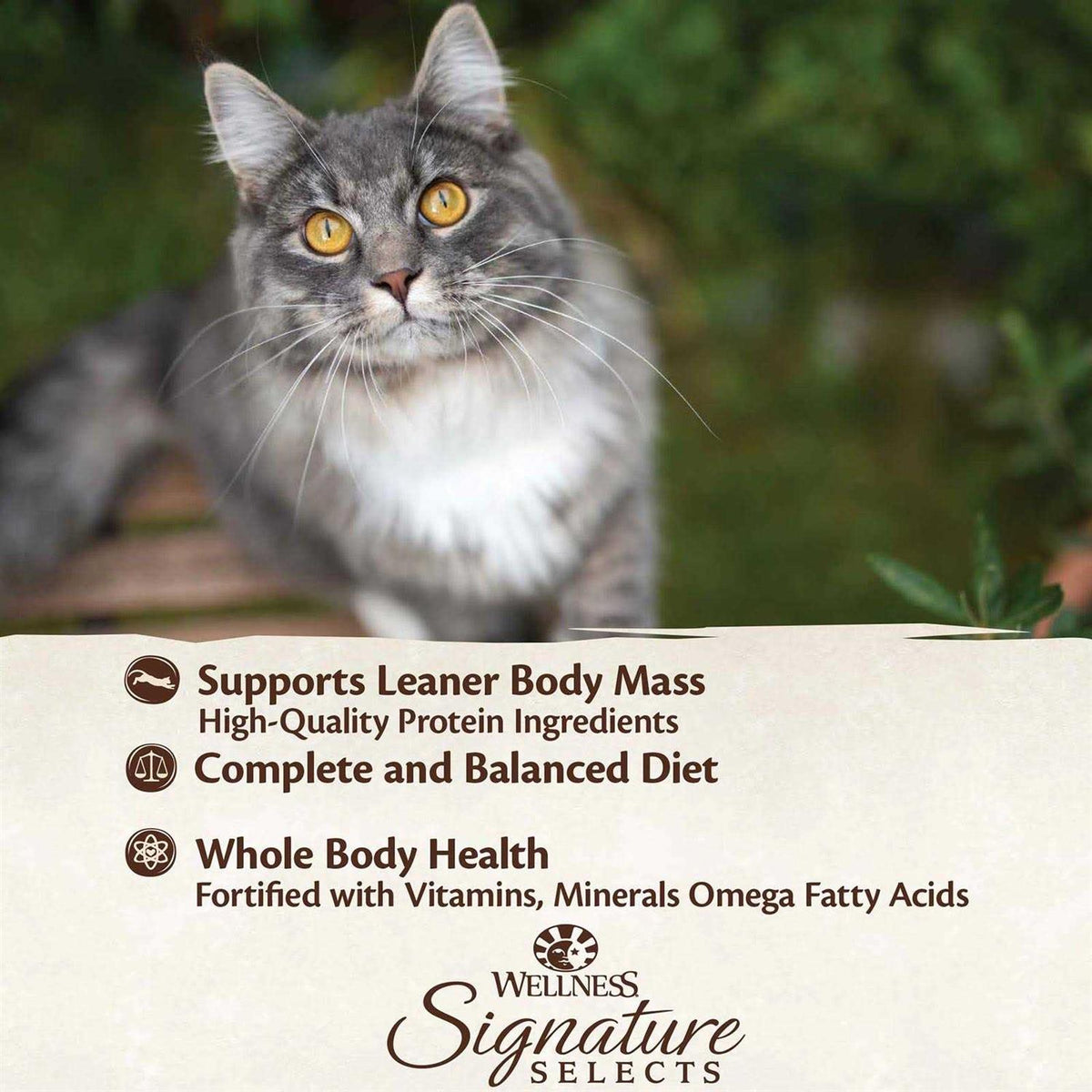 Grain Free Skipjack Tuna & Wild Salmon Canned Cat Food M185