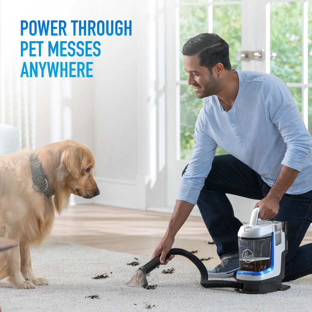 Cordless Portable Carpet Spot Cleaner Z6390