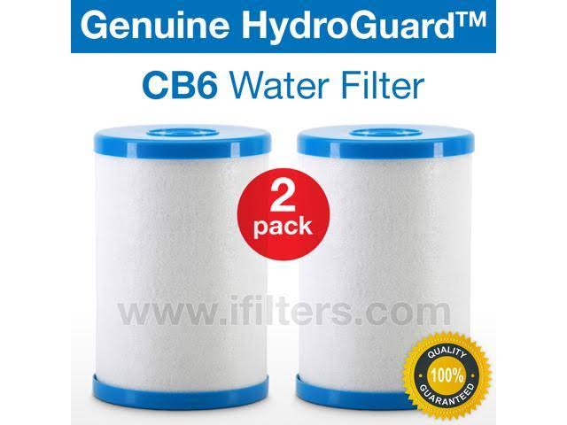 2 Pack Carbon Block Water Filter V428