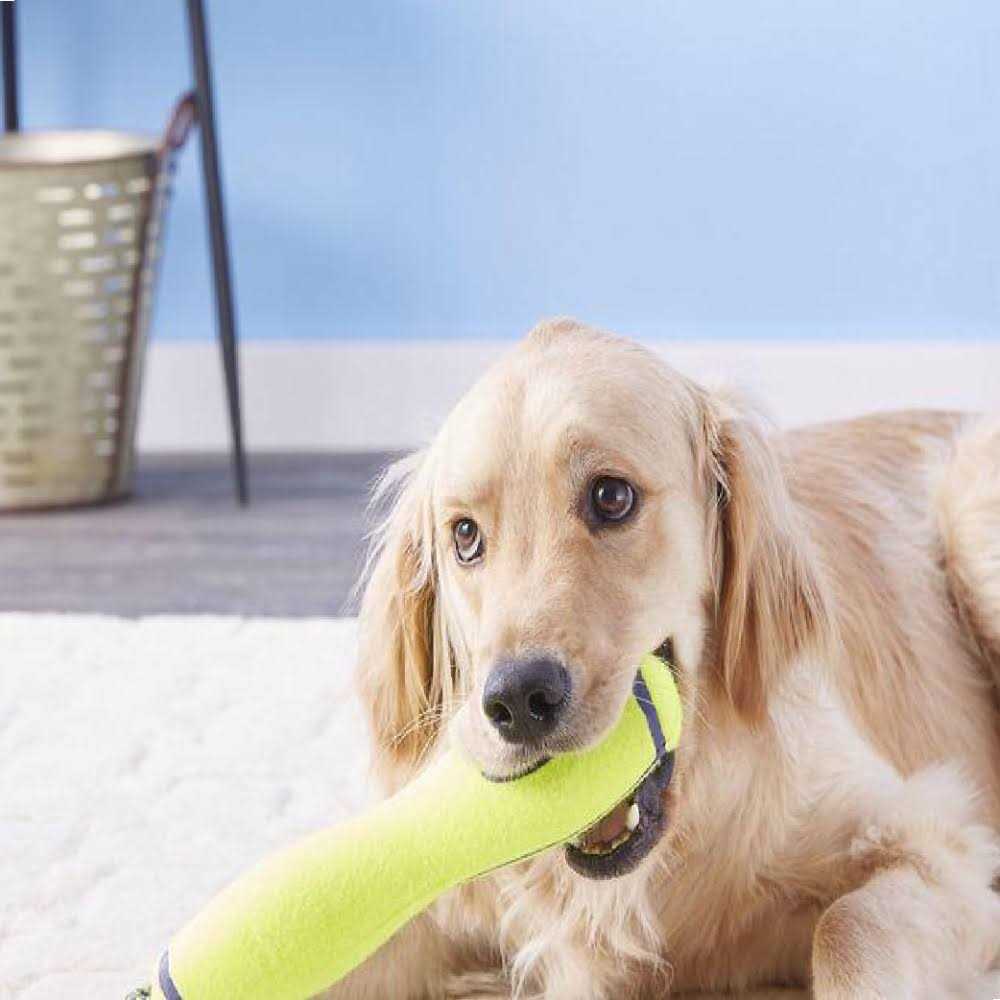 Dog Squeaker Stick G16142