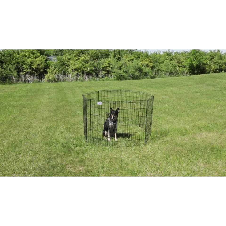 Black Exercise Pen with Door W7462