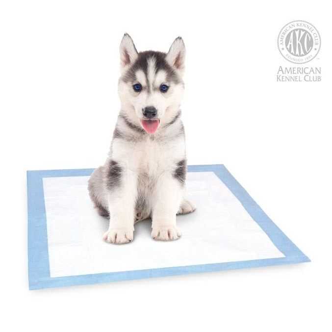Puppy Training Pads Z32083