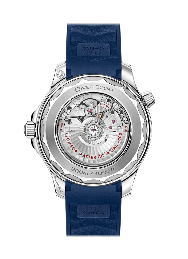 Blue Grey 42mm Dive Watch R926825