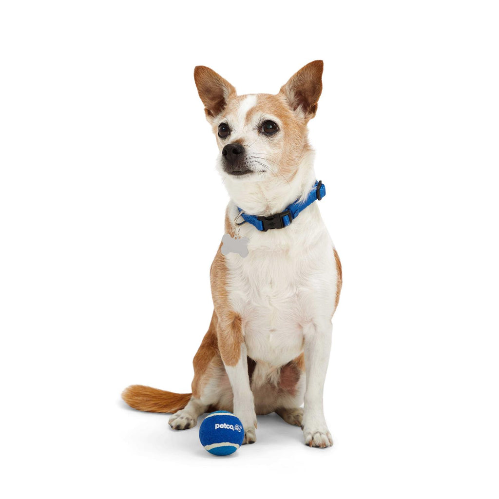 Tennis Ball Dog Toy F124160