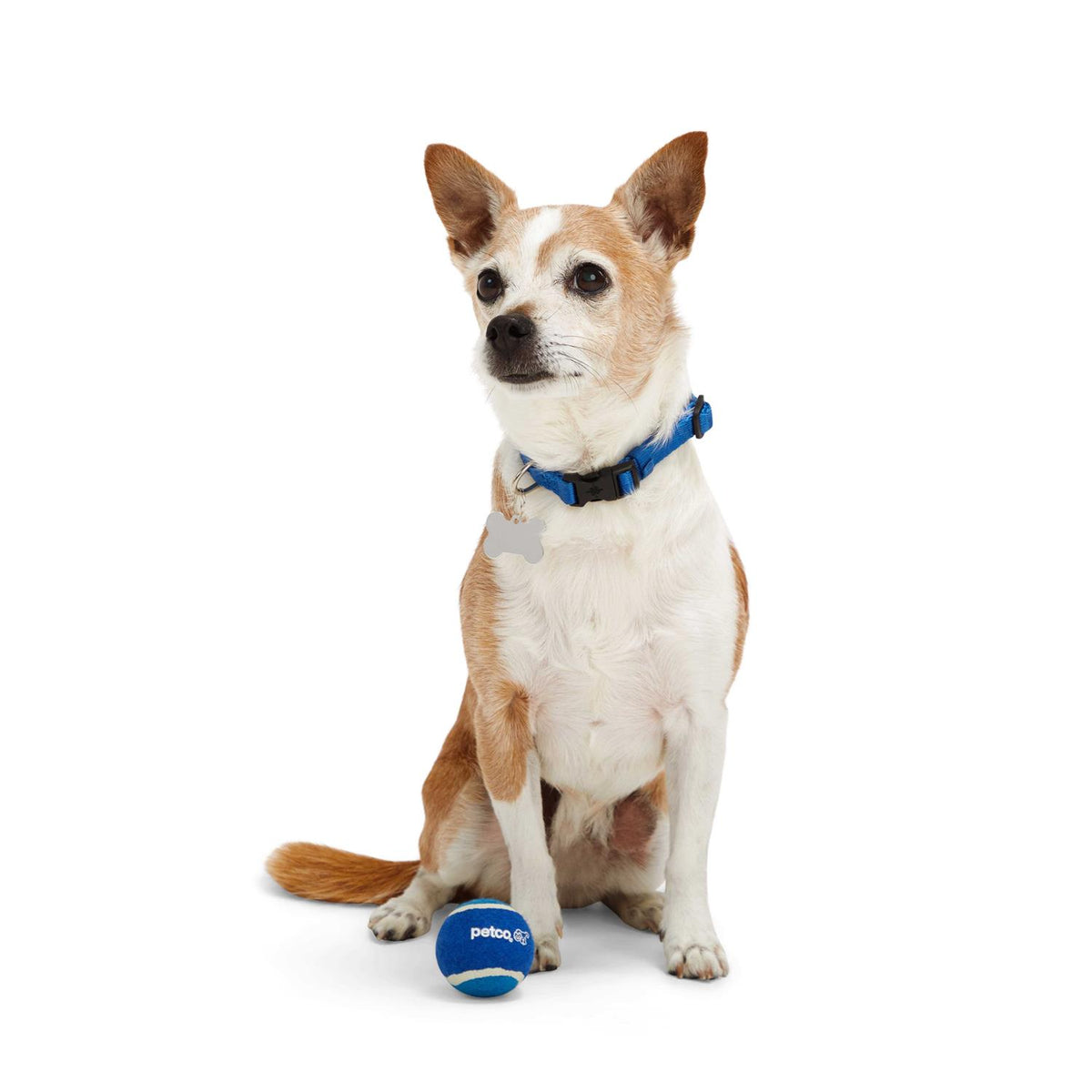 Tennis Ball Dog Toy F124160