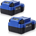 24V 5.0Ah Lithium Ion Cordless Tools Battery 2Pack M9319