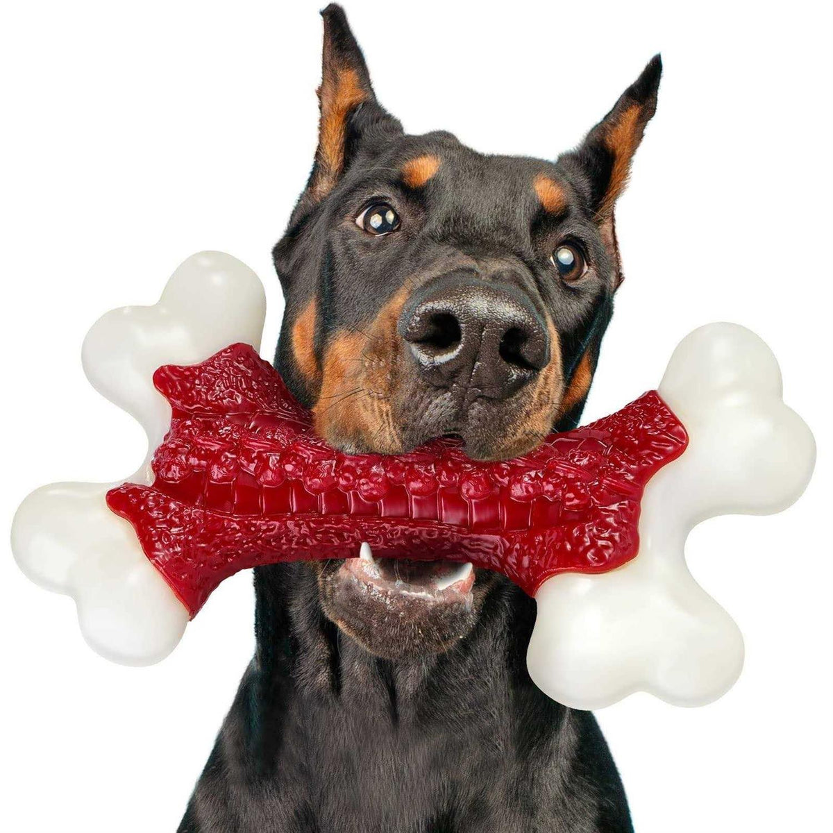 Tough Dog Toys for Aggressive Chewers Large Breed D497087