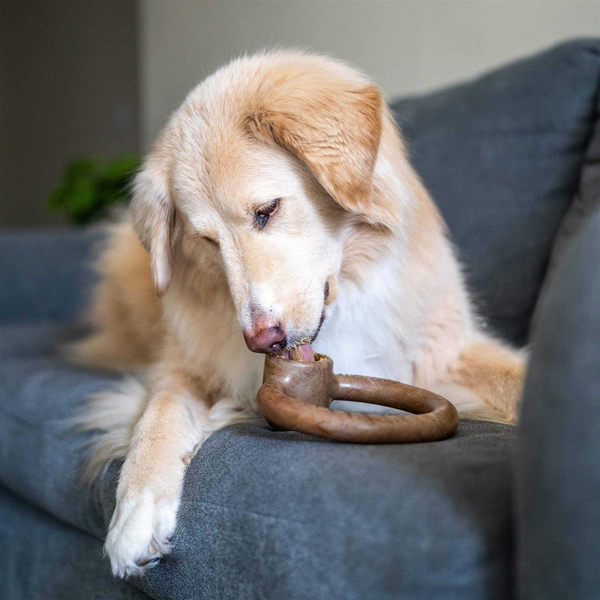 Durable Chew Toy for Aggressive Chewers Q122089