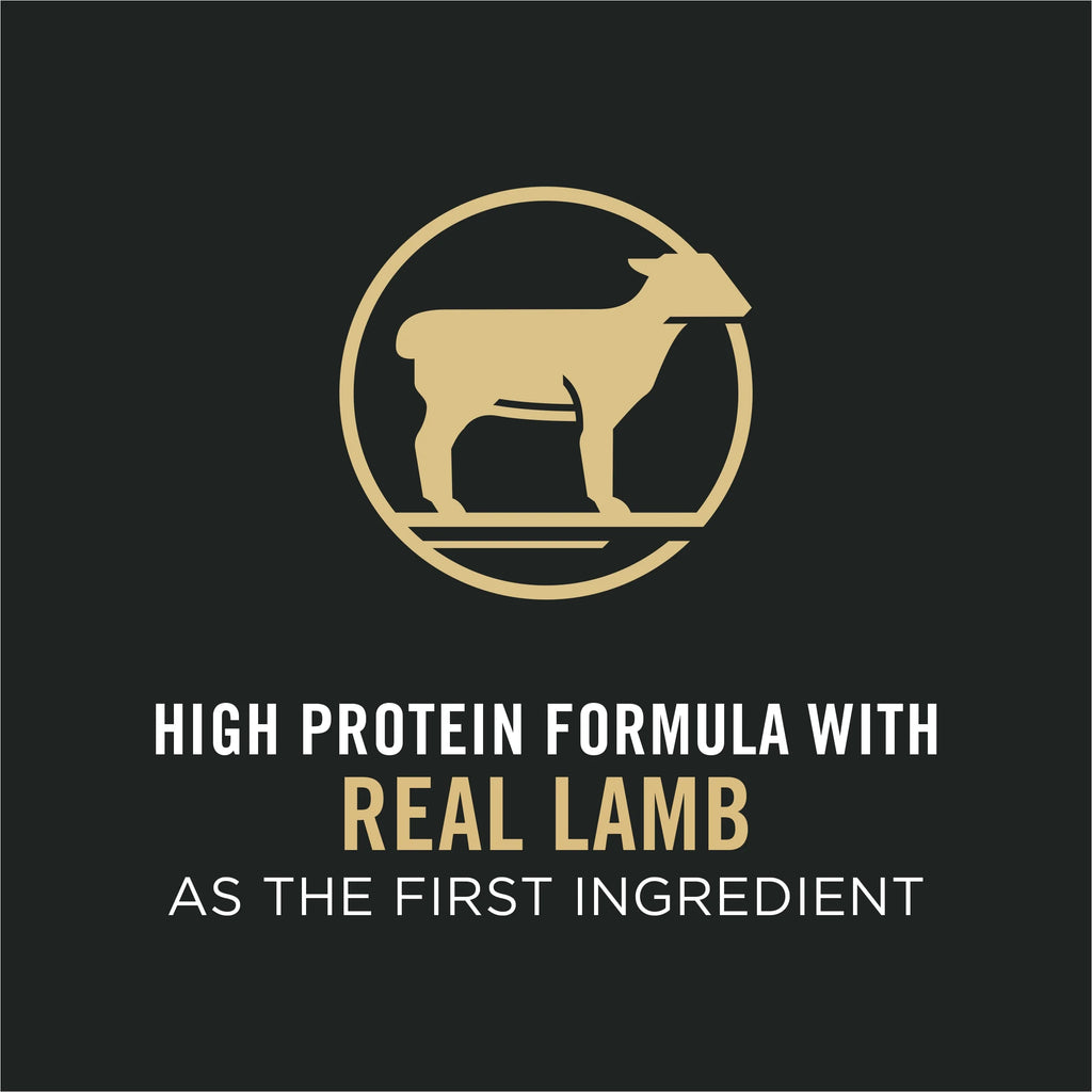 Lamb and Rice Cat Food 7 lb. Bag B716
