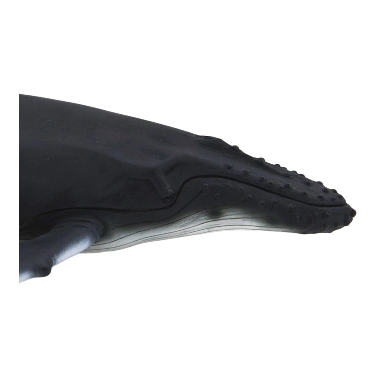 Humpback Whale Wildlife Figurine Q69110