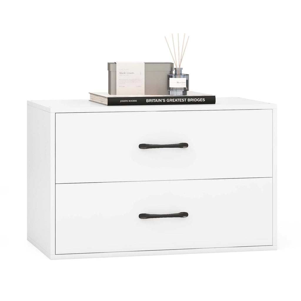 2 Drawer Stackable Storage Organizer R505138