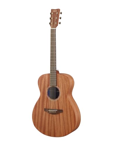 Acoustic Guitar Q7904