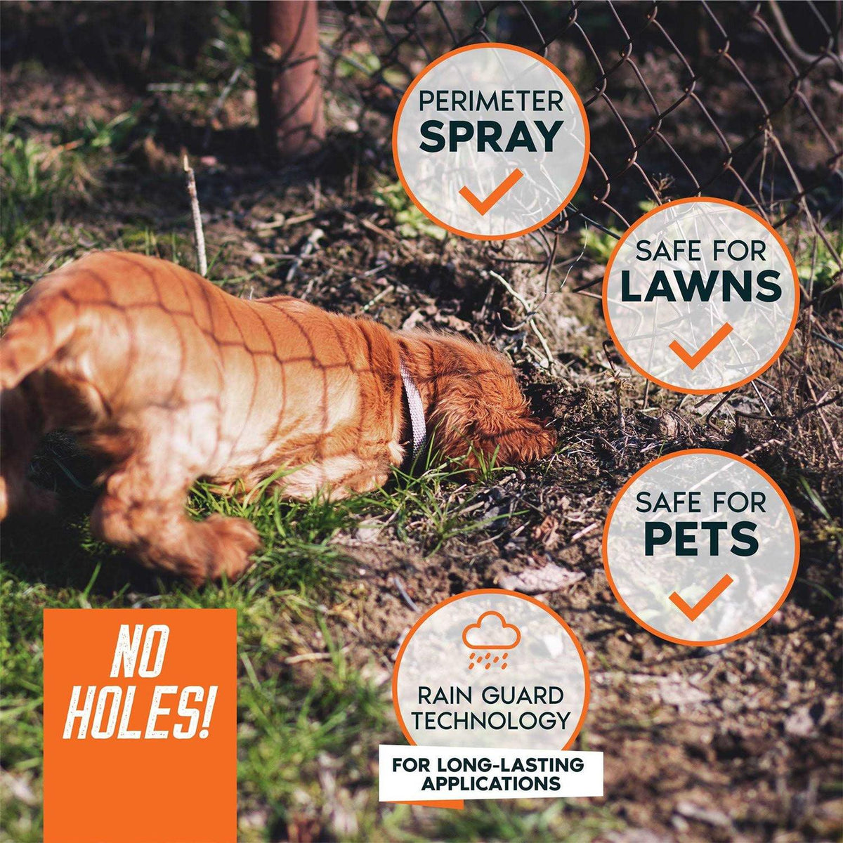 Digging Dog Prevention Spray N555