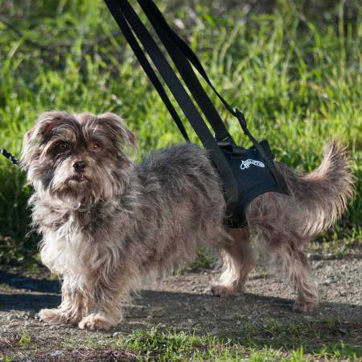 Support Harness J74671