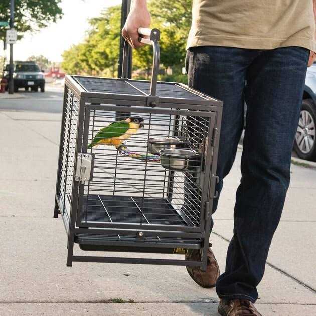 Pet Travel Carrier E3811