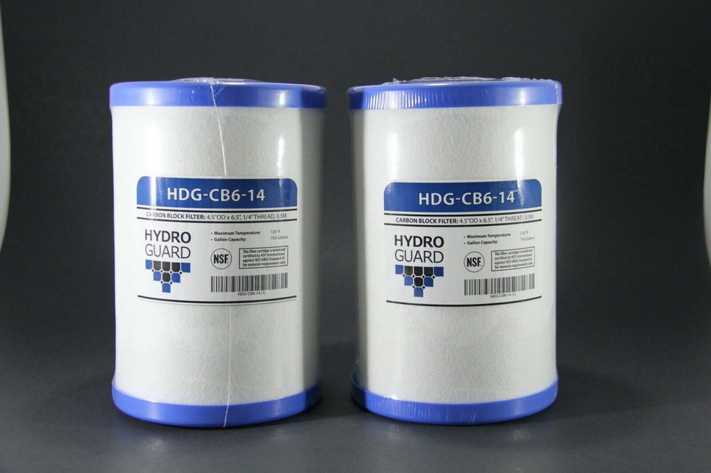 2 Pack Carbon Block Water Filter V428