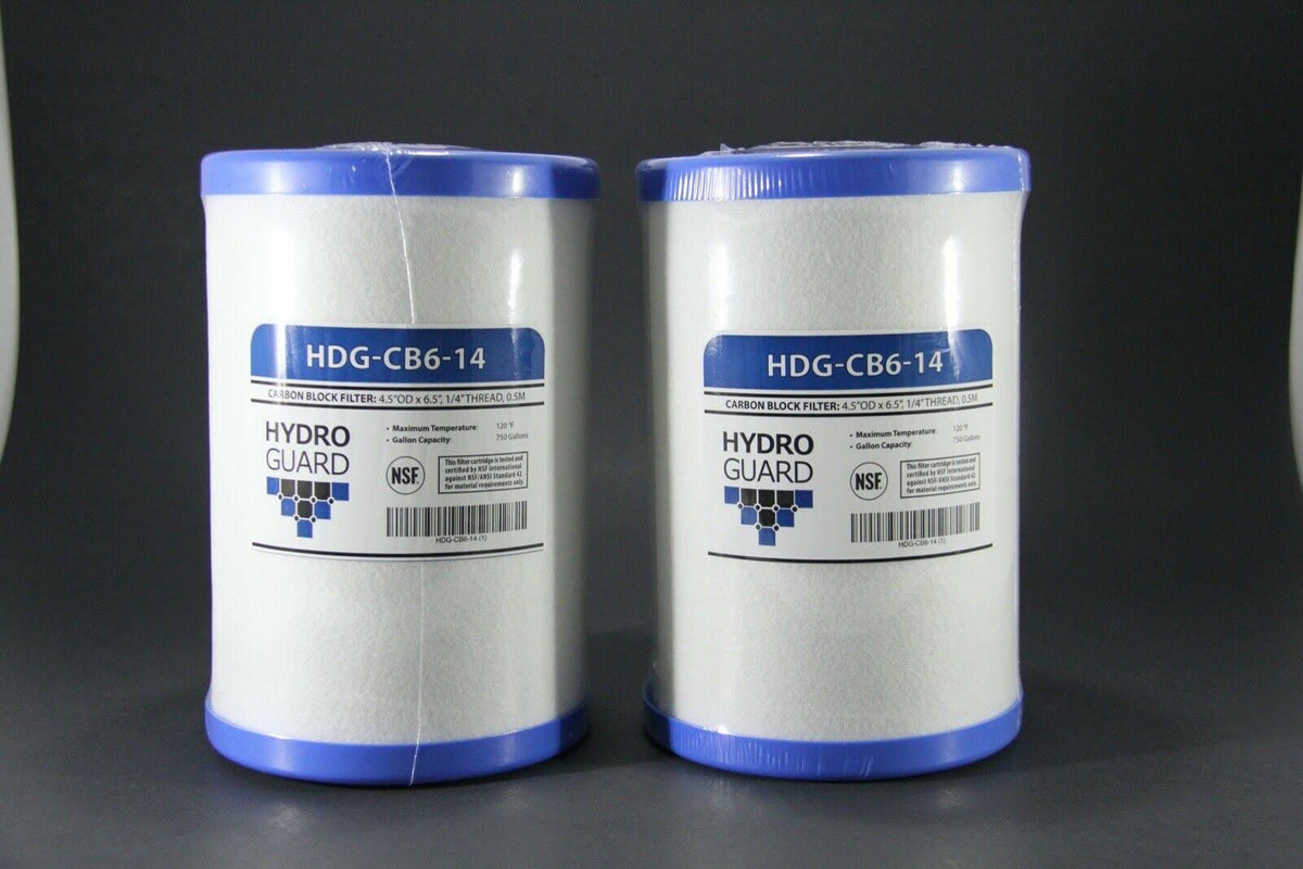 2 Pack Carbon Block Water Filter V428