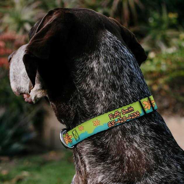 Scooby Doo The Mystery Machine Dog Collar E24743