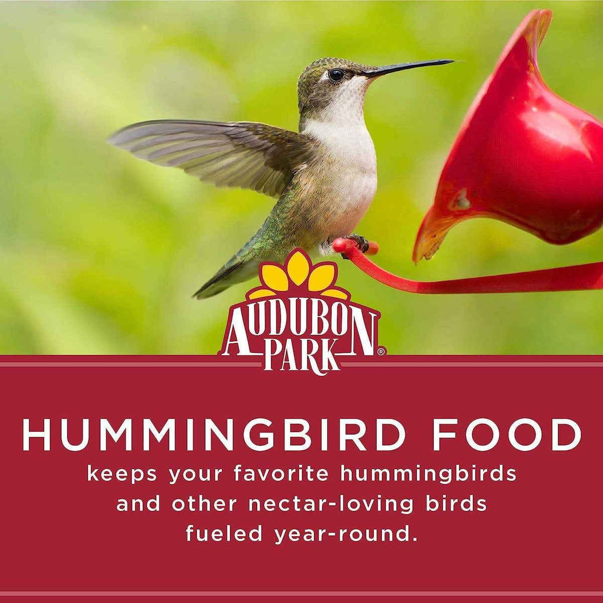Wild Bird Nectar Hummingbird Food M450255
