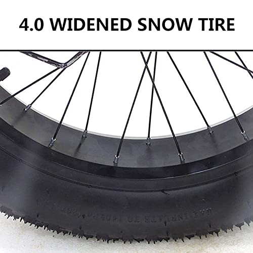 7 Speed 20 Inch Fat Tire Adult Tricycle with Shopping Basket C876505