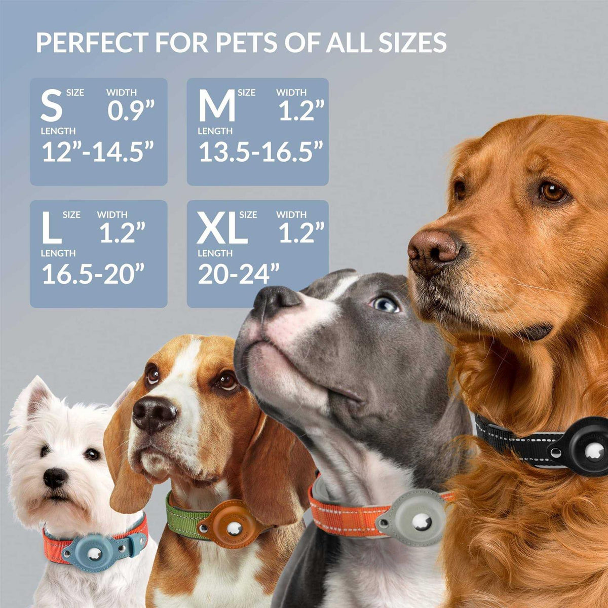 Reflective Dog Collar E488382