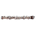 Hydraulic Roller Tappet Camshaft F373563