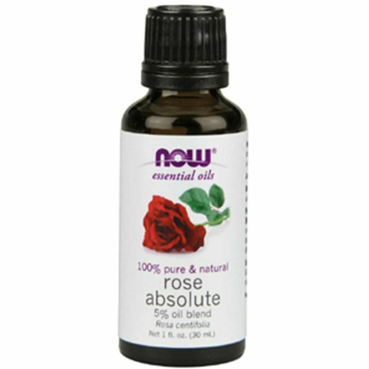 Rose Absolute 5% Blend Oil 1 oz V688472
