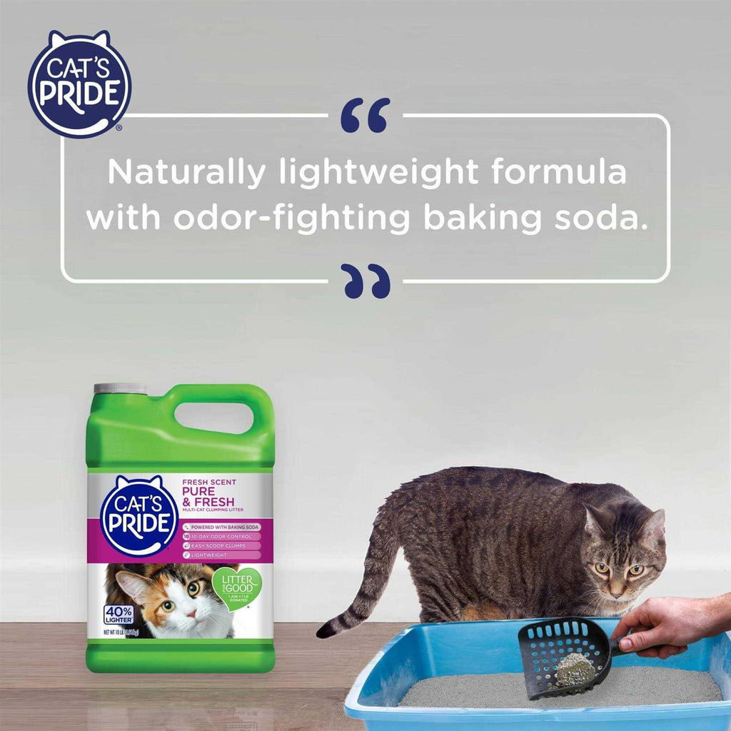 Multi-Cat Clumping Litter K493617