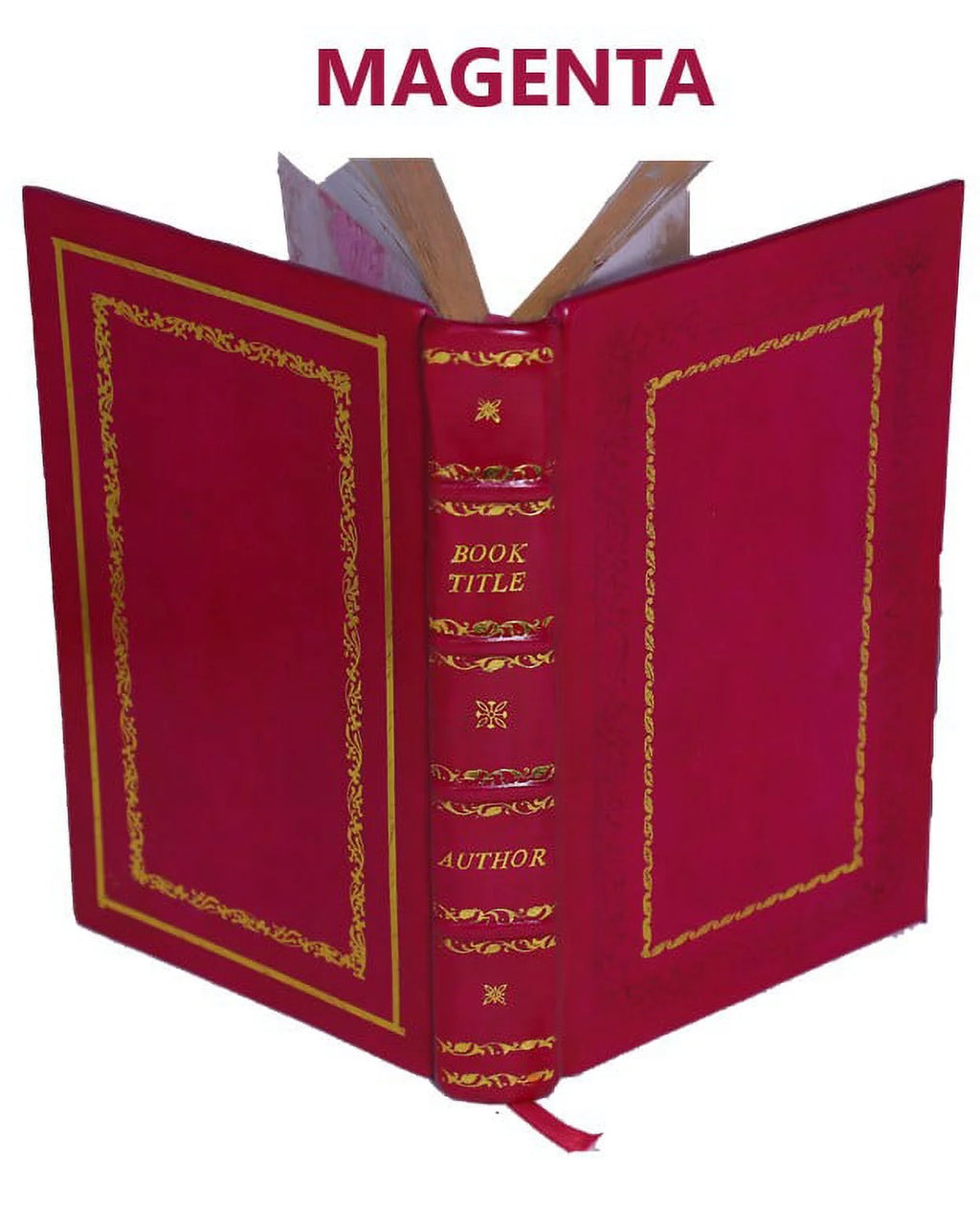 Premium Leather Bound Dracula T702