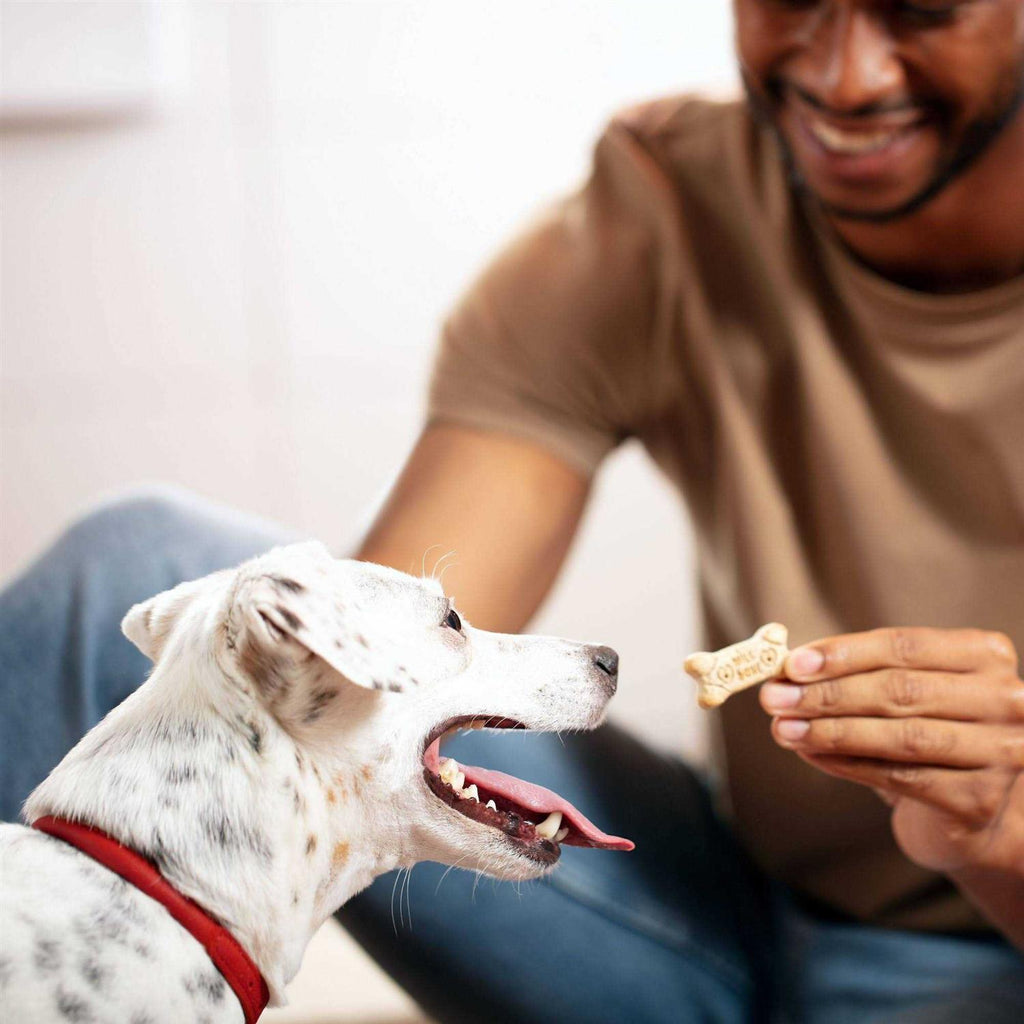 Mini Dog Biscuits M656290