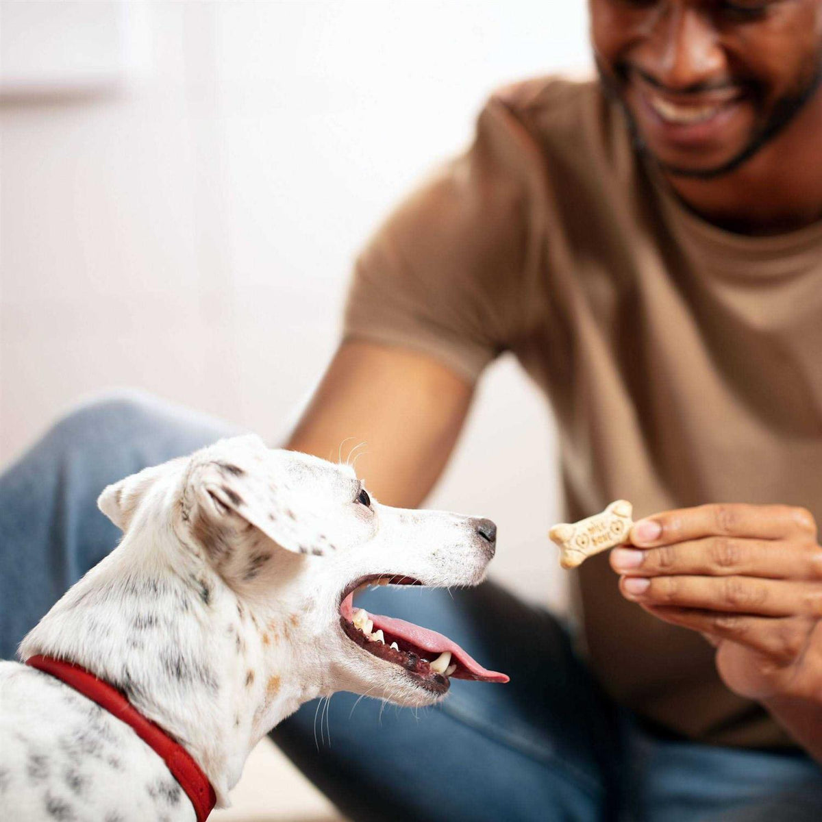 Mini Dog Biscuits M656290