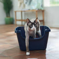 High Sided Cat Litter Box T733863