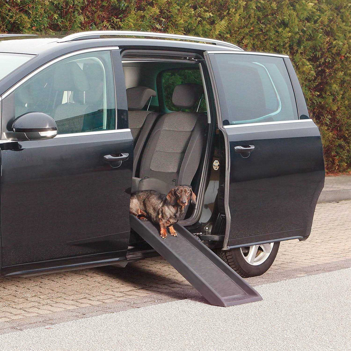 Pet Ramp D804258