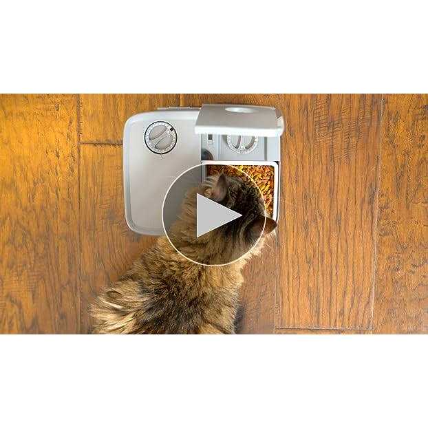 Automatic 2 Meal Pet Feeder L707093