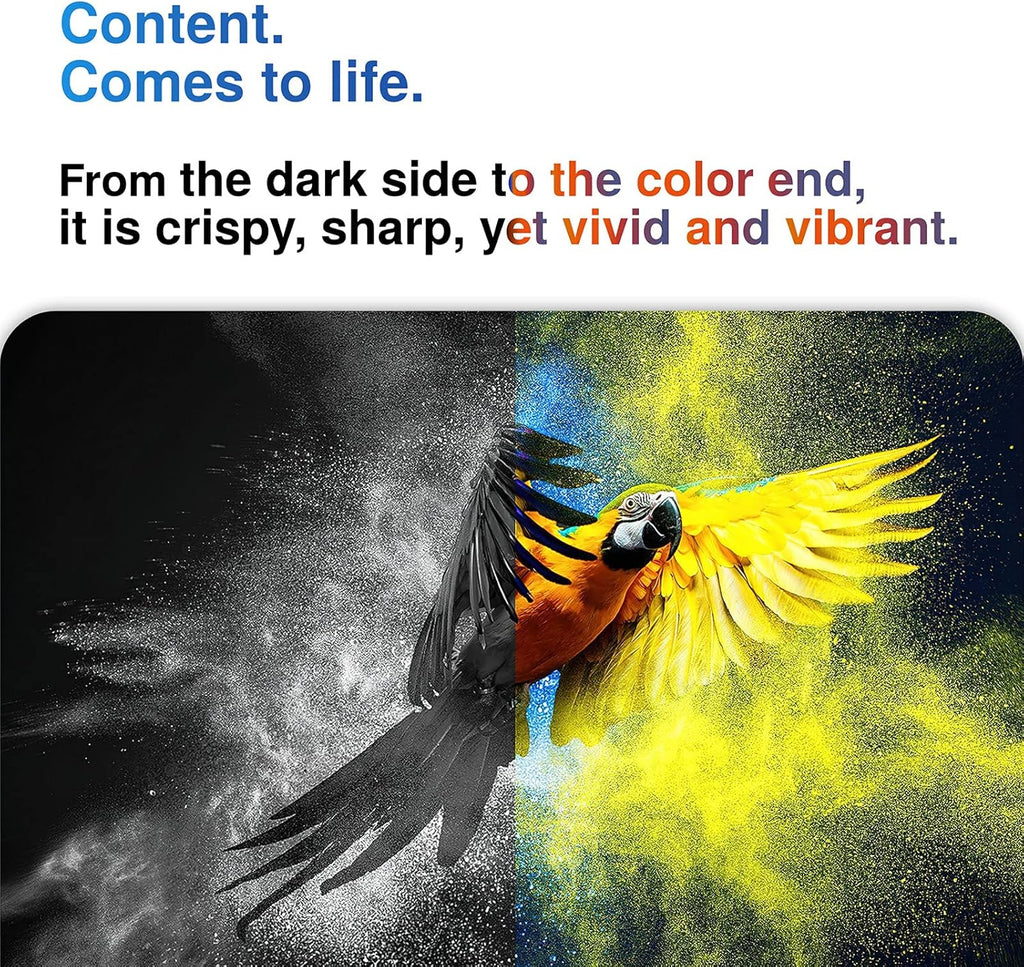 Black Ink Cartridges Combo Pack of 2 F874